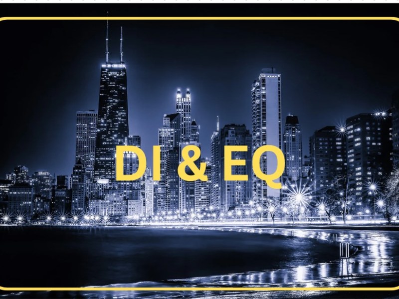 Beyond Performance: Coaching the Intelligences that Define Modern&nbsp;Leadership