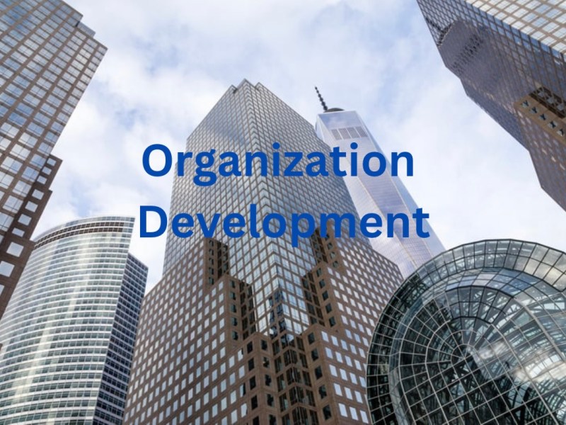 Overview of organization&nbsp;development(OD)