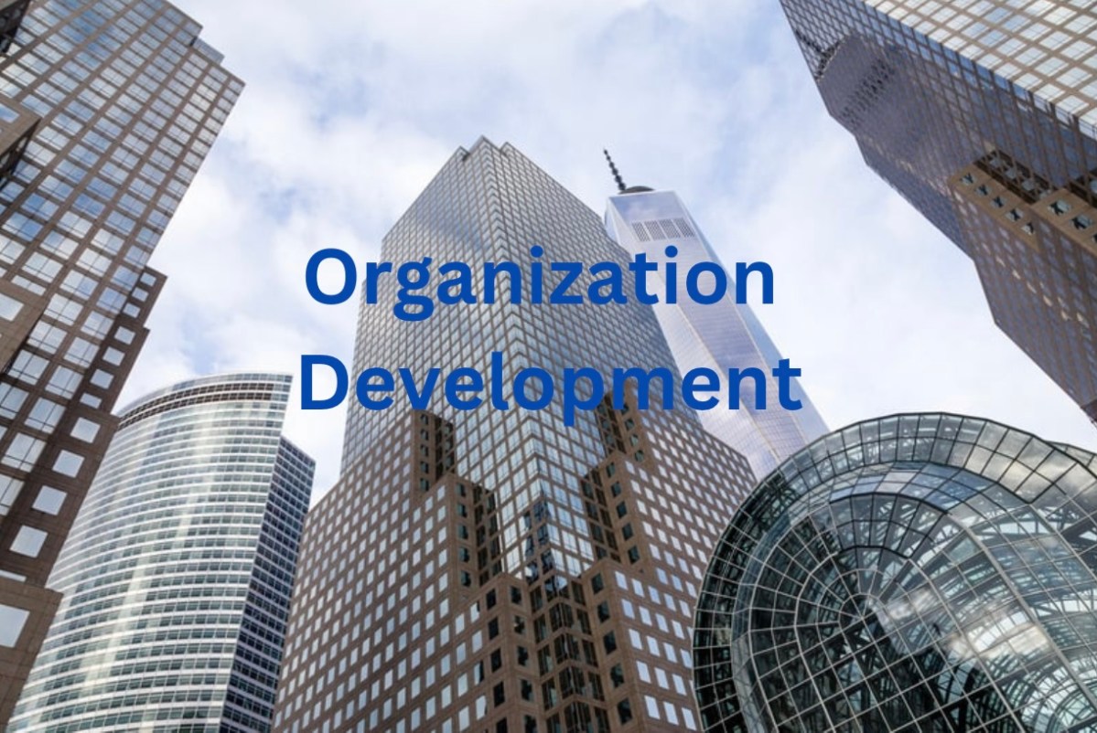 Overview of organization&nbsp;development(OD)